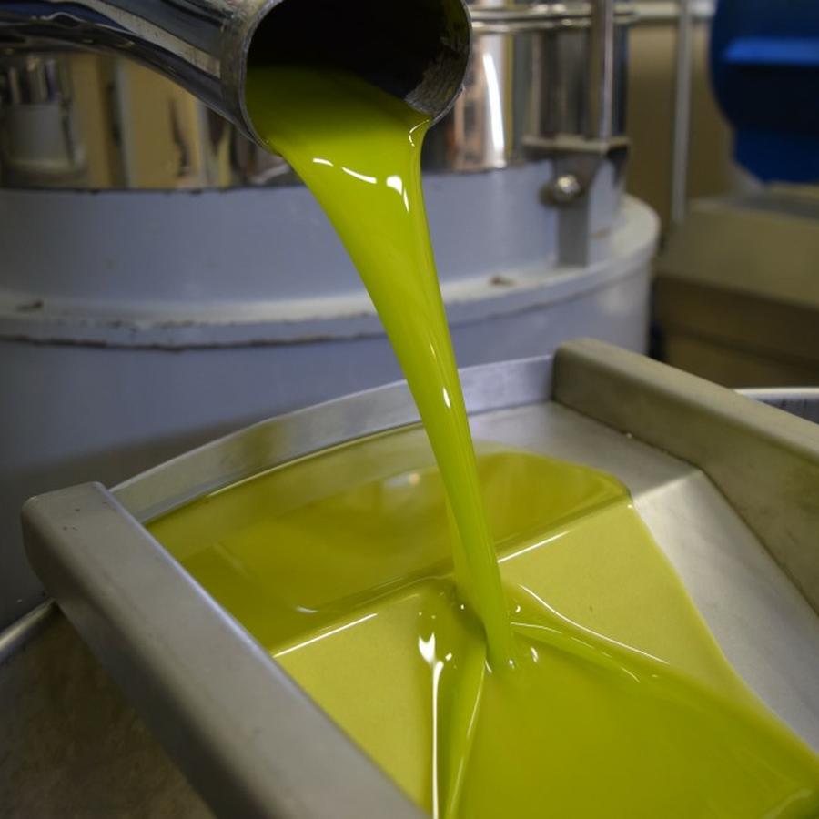 Olio extravergine appena franto
