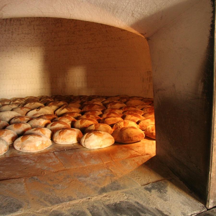 Pagnotte di pane di Laterza